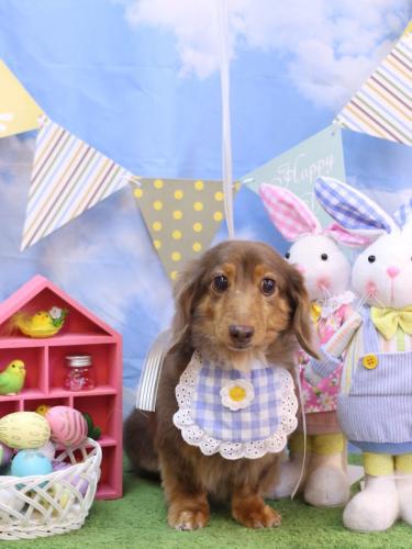 20240331モカくん